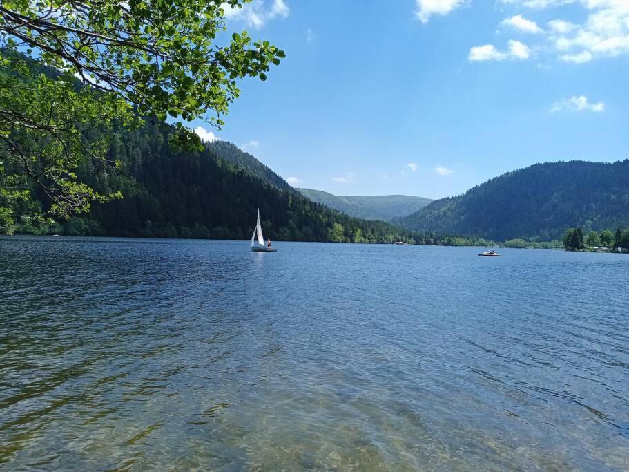 Duplex - Proche De Gerardmer Le Tholy Εξωτερικό φωτογραφία
