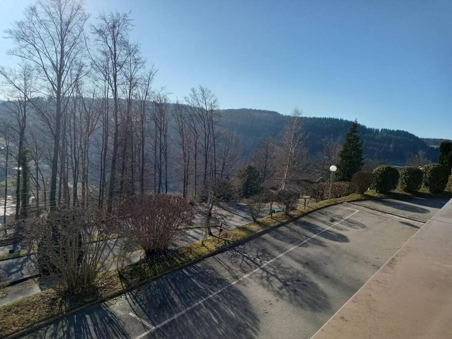 Duplex - Proche De Gerardmer Le Tholy Εξωτερικό φωτογραφία