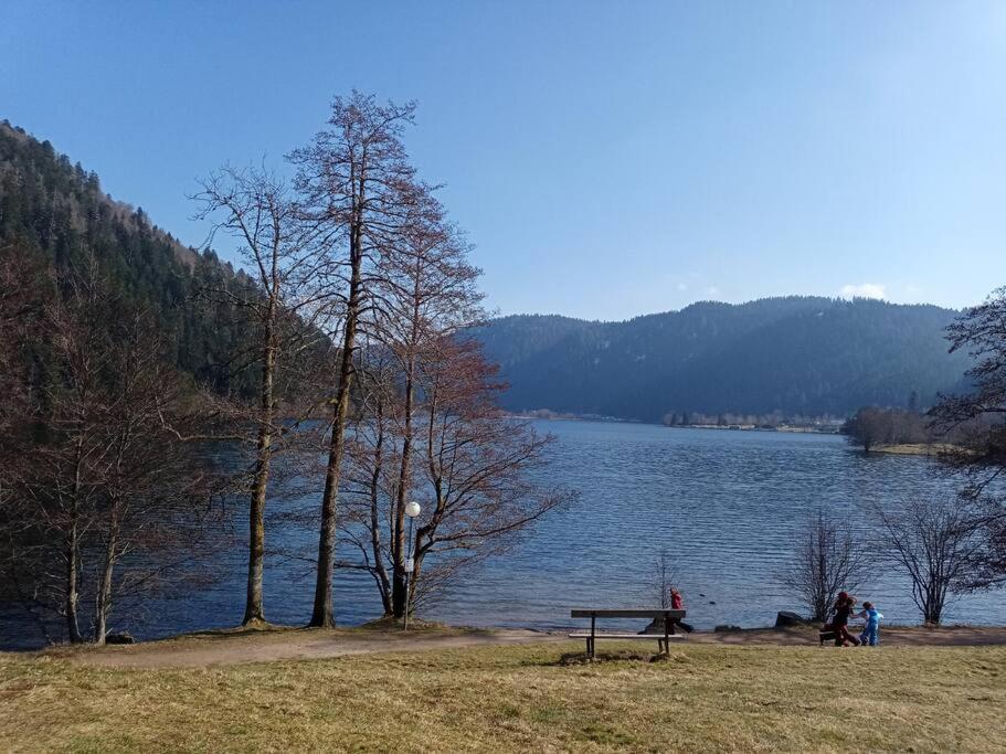 Duplex - Proche De Gerardmer Le Tholy Εξωτερικό φωτογραφία