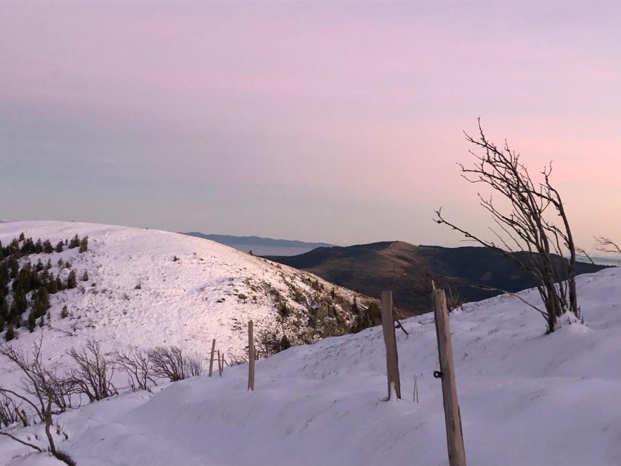 Duplex - Proche De Gerardmer Le Tholy Εξωτερικό φωτογραφία