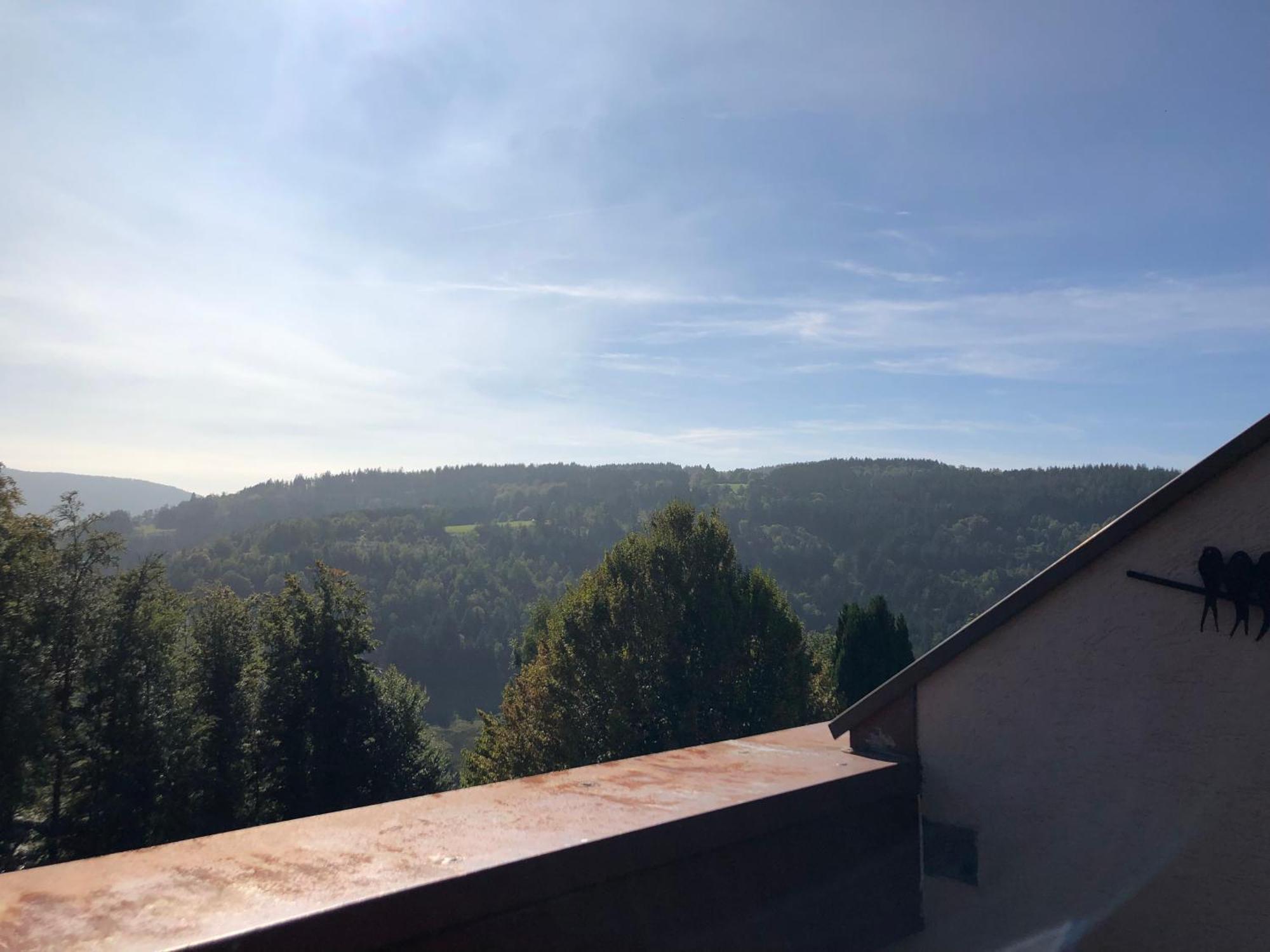 Duplex - Proche De Gerardmer Le Tholy Εξωτερικό φωτογραφία