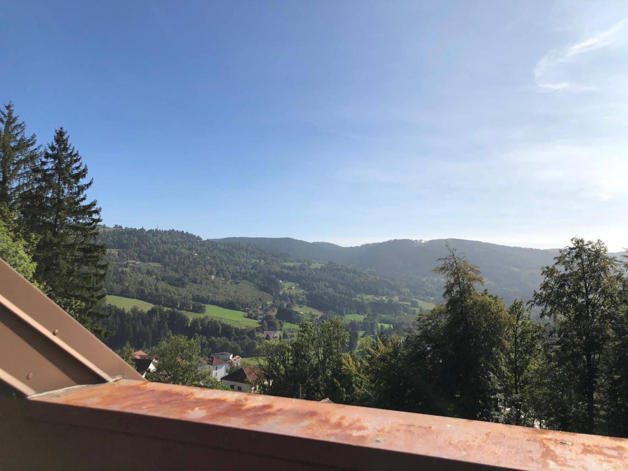 Duplex - Proche De Gerardmer Le Tholy Εξωτερικό φωτογραφία